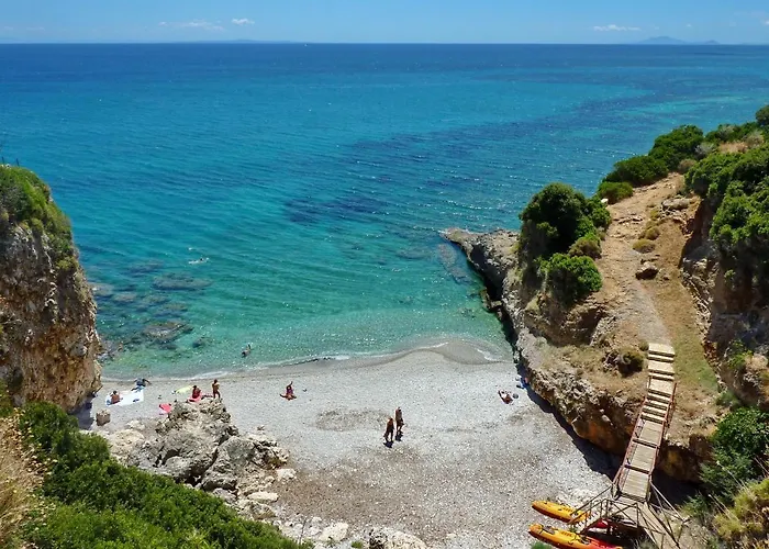 Seagull * Skala (Kefalonia)