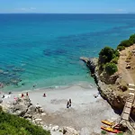 Seagull * Skala (Kefalonia)