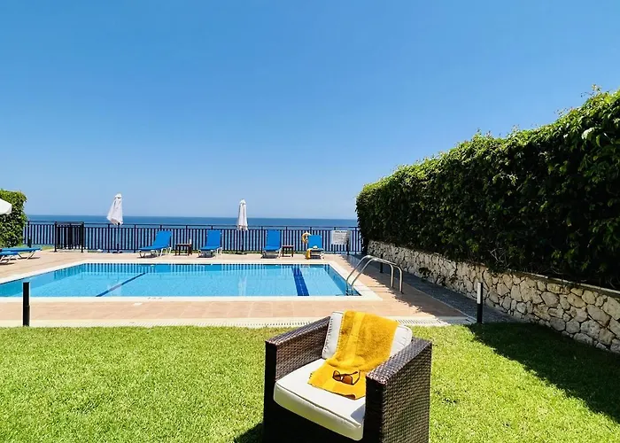 Seagull * Skala (Kefalonia)