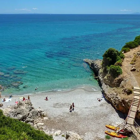 Seagull * Skala (Kefalonia)